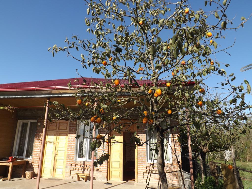 Genacvale In Bandza Hotel Martvili Bagian luar foto